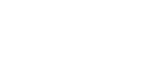 MICE