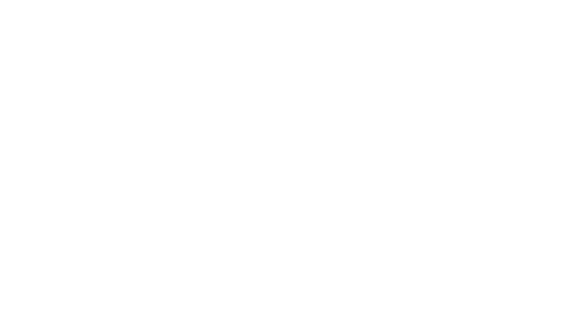 traslados ejecutivos
