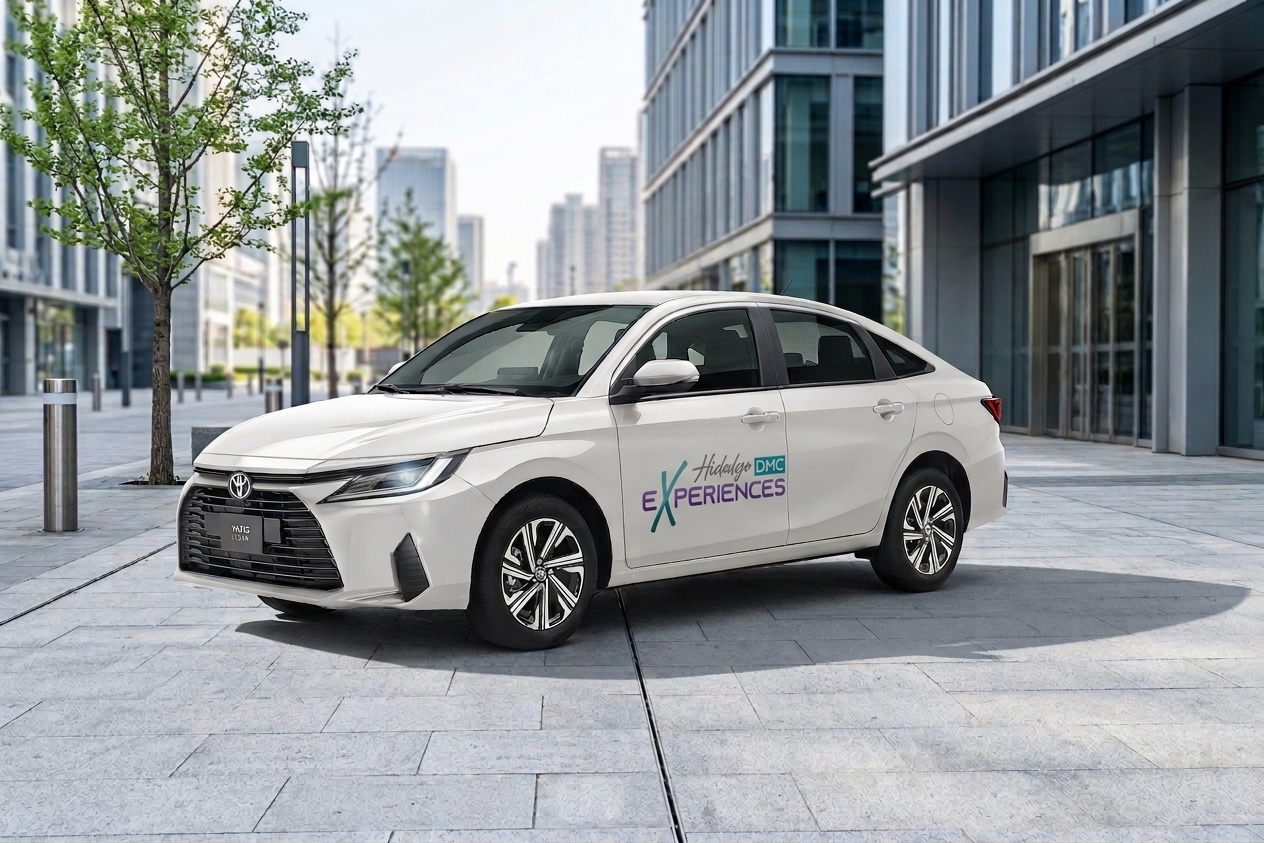 yaris hedmc